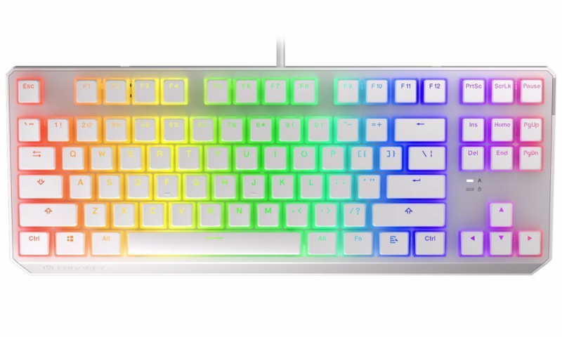 ENDORFY herná klávesnica Thock TKL OWH Pudd.Kailh BR RGB /USB/ brown sw./ drôtová / mechanická / US layout / biela RGB