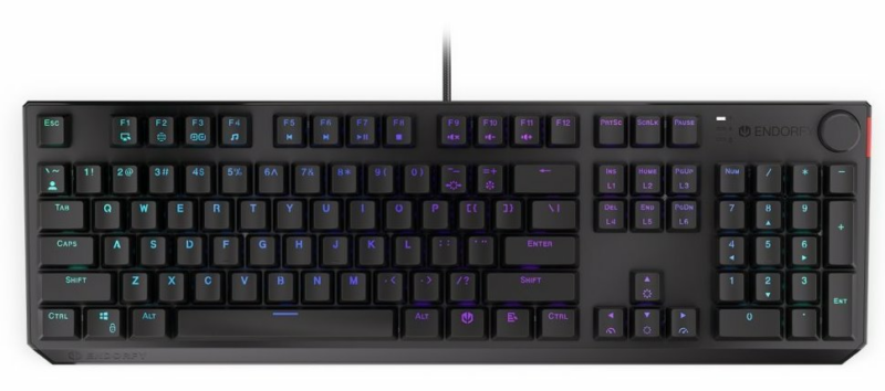 ENDORFY herná klávesnica Thock Red / USB / red sw. / drôtová / mech. / layout US / čierna RGB