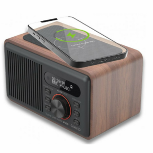 CARNEO W100 Rádio DAB+