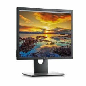 DELL P1917S