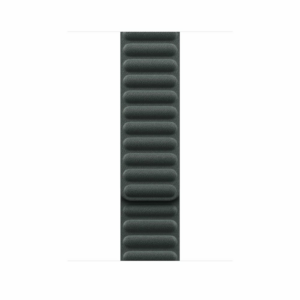 Apple Watch 45mm Evergreen Magnetic Link - M/L