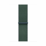 Apple Watch 40mm Lake Green Sport Loop