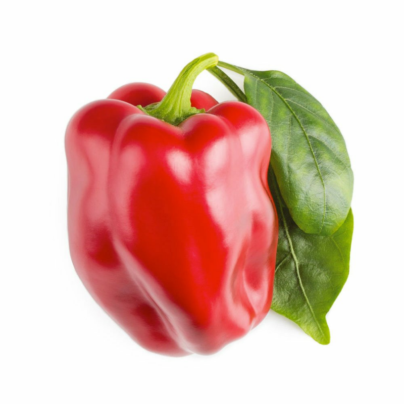 Smart Garden Červená paprika